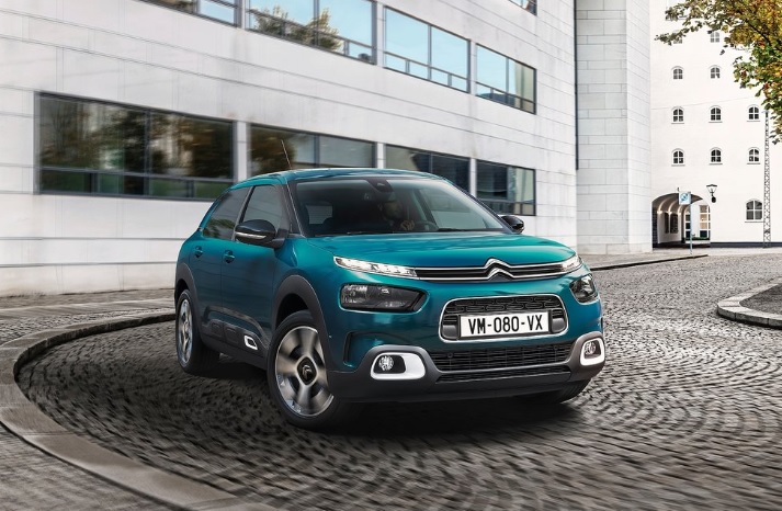 C4 Cactus Görseli