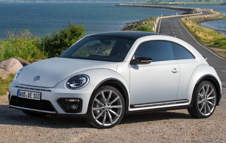 Beetle Görseli