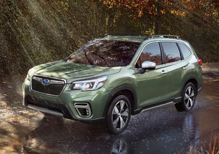 Forester Görseli