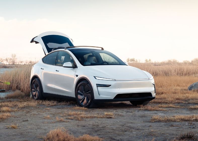 Model Y Görseli